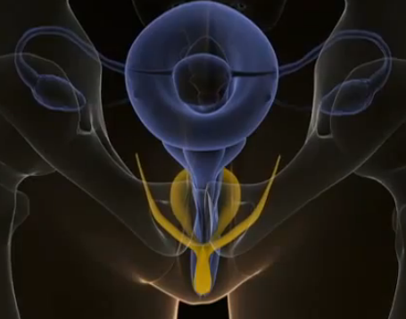 Ejaculating Inside The Vagina Video 94