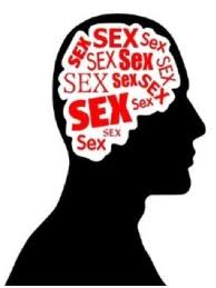 sex on the brain